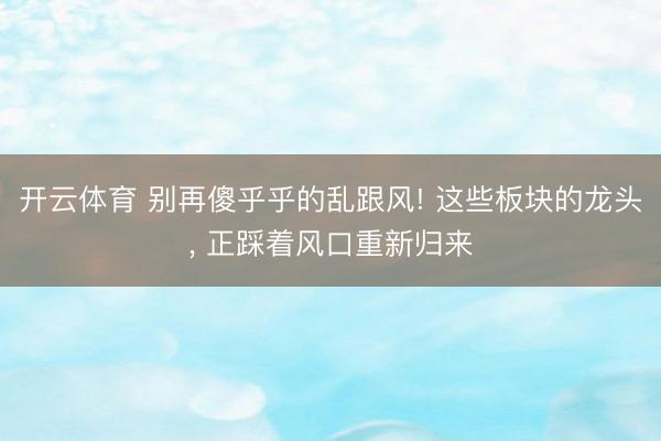 开云体育 别再傻乎乎的乱跟风! 这些板块的龙头， 正踩着风口重新归来