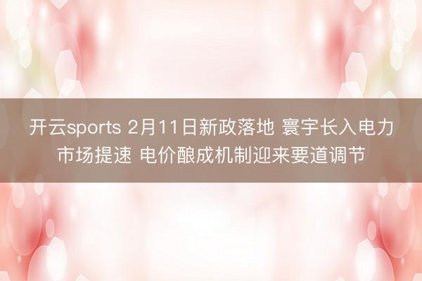 开云sports 2月11日新政落地 寰宇长入电力市场提速 电价酿成机制迎来要道调节