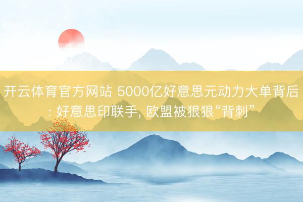开云体育官方网站 5000亿好意思元动力大单背后: 好意思印联手, 欧盟被狠狠“背刺”