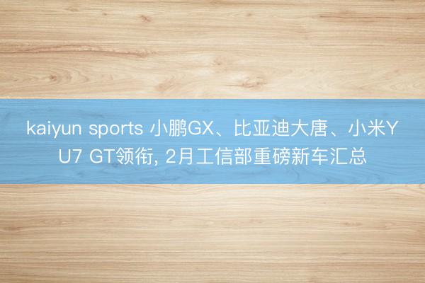 kaiyun sports 小鹏GX、比亚迪大唐、小米YU7 GT领衔， 2月工信部重磅新车汇总