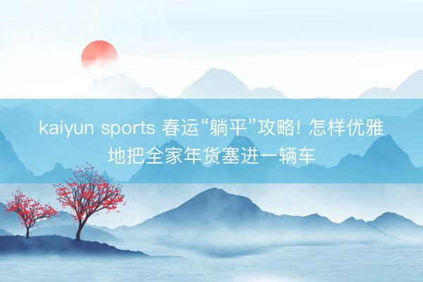 kaiyun sports 春运“躺平”攻略! 怎样优雅地把全家年货塞进一辆车