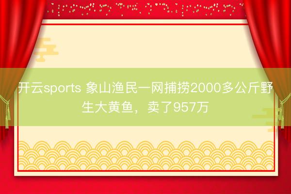 开云sports 象山渔民一网捕捞2000多公斤野生大黄鱼，卖了957万