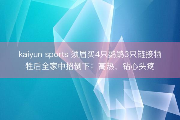 kaiyun sports 须眉买4只鹦鹉3只链接牺牲后全家中招倒下：高热、钻心头疼