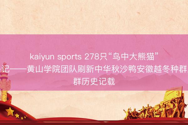kaiyun sports 278只“鸟中大熊猫”安徽越冬记——黄山学院团队刷新中华秋沙鸭安徽越冬种群历史记载