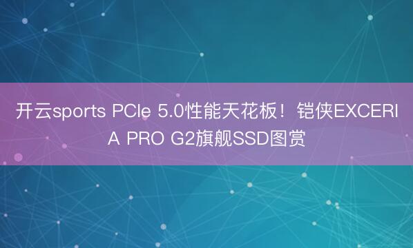 开云sports PCIe 5.0性能天花板！铠侠EXCERIA PRO G2旗舰SSD图赏