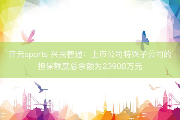 开云sports 兴民智通：上市公司特殊子公司的担保额度总余额为23908万元